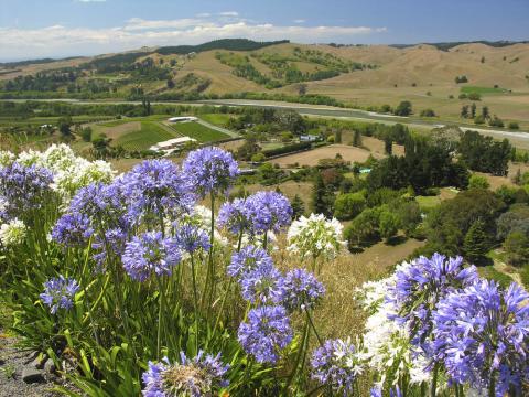 Hawkes Bay